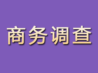 临泽商务调查